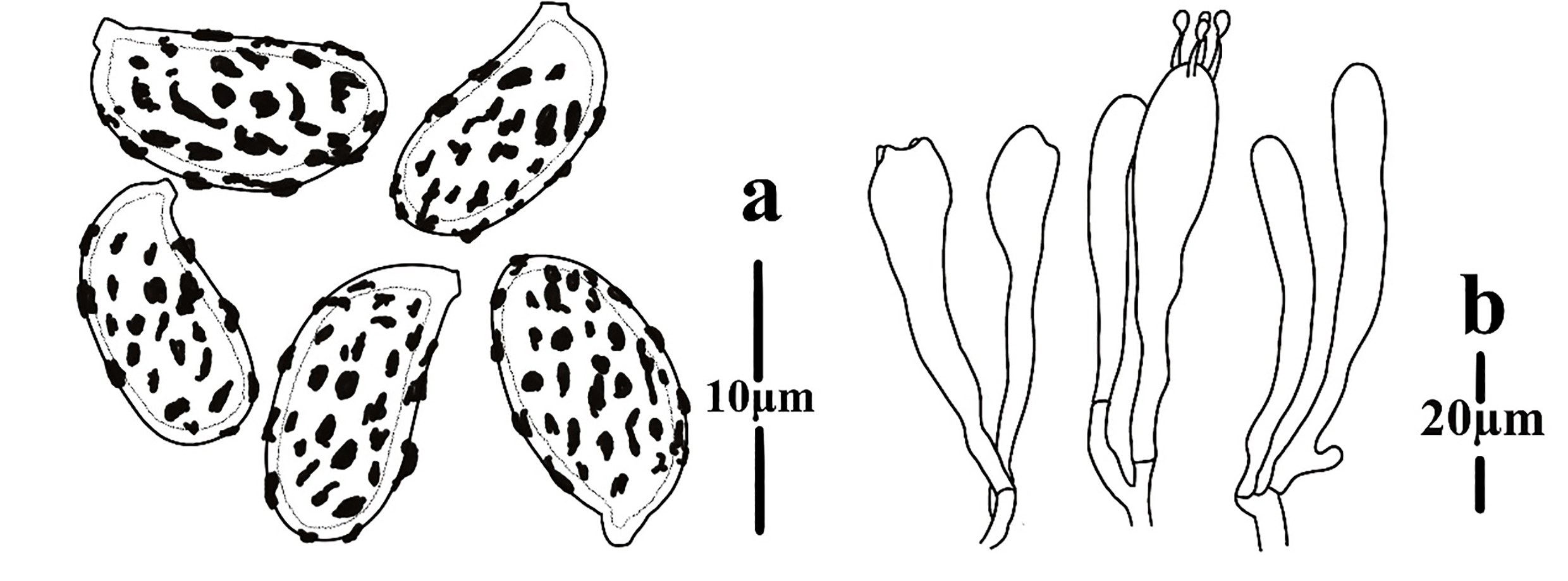 Figure 67